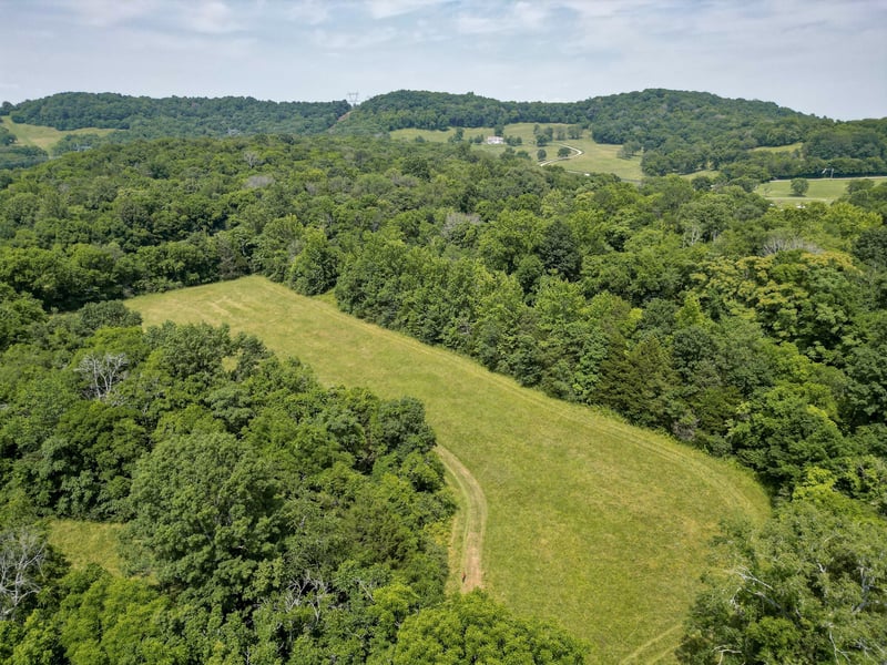 Choctaw Rd, College Grove, TN 37046