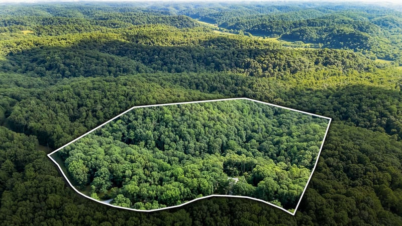 4545 Scenic Hills Ln, Franklin, TN 37064