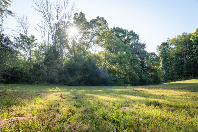 0 Choctaw Rd Lot 2, College Grove, TN 37046
