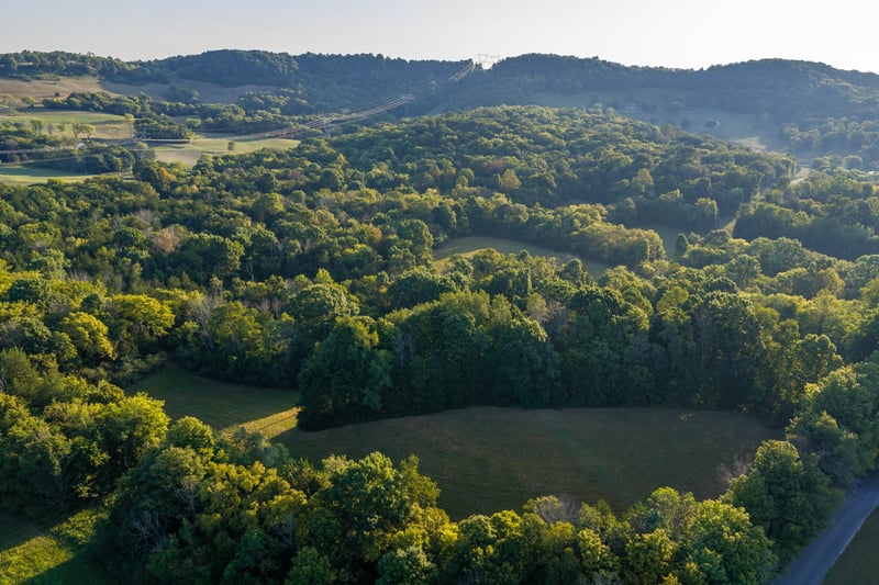 0 Choctaw Rd Lot 2, College Grove, TN 37046