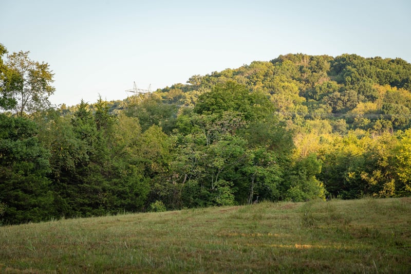 0 Choctaw Rd Lot 2, College Grove, TN 37046