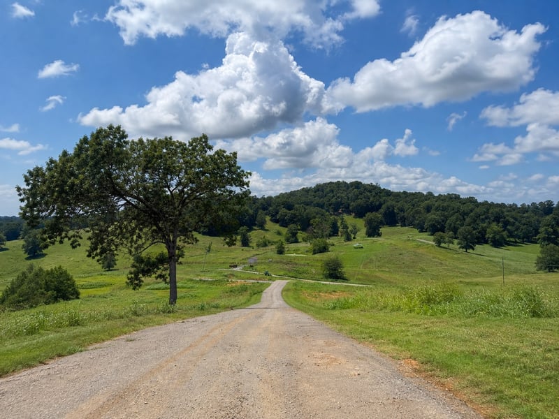 216 Mcclure Pvt Ln, Gallatin, TN 37066