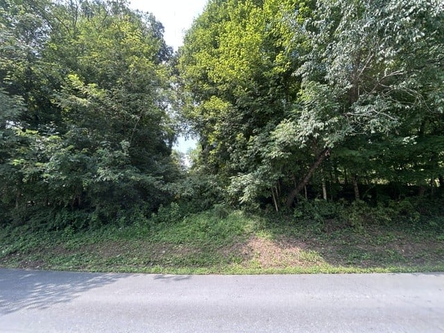 107 Humphries St, Charlotte, TN 37036