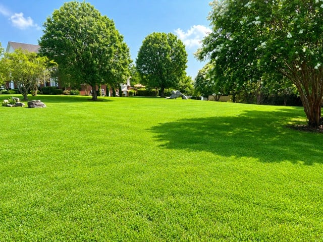 325 N Central Ave Lot 4, Watertown, TN 37184