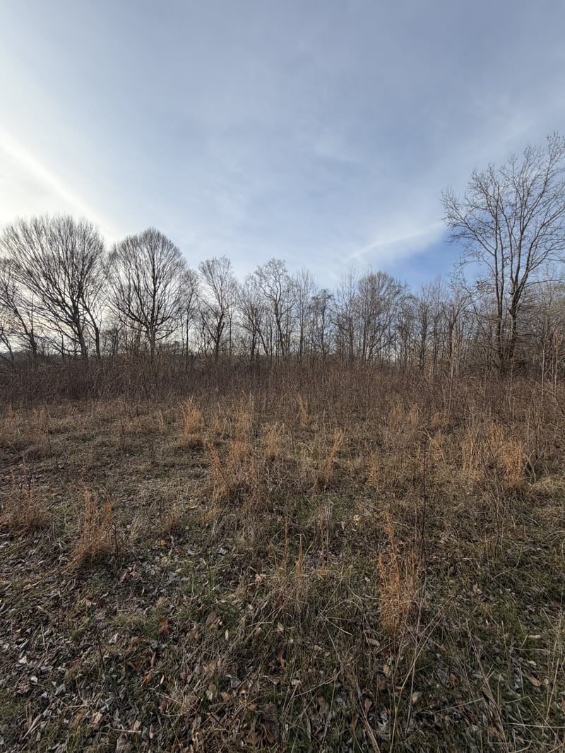 0 Macon Wall Rd Lot 5, Ashland City, TN 37015