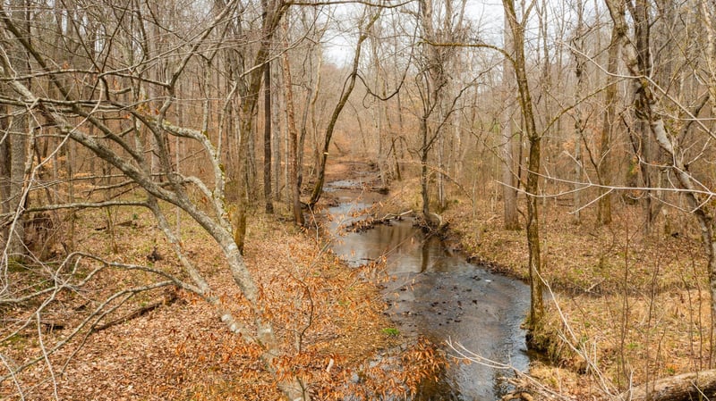 0 Macon Wall Rd Lot 5, Ashland City, TN 37015