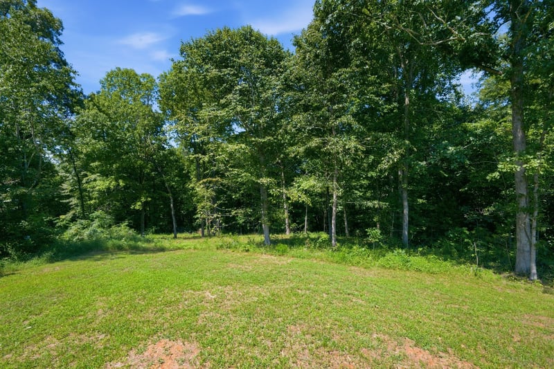 3033 Bowker Rd, Charlotte, TN 37036
