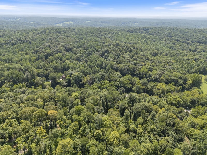 Hwy 49w, Vanleer, TN 37181