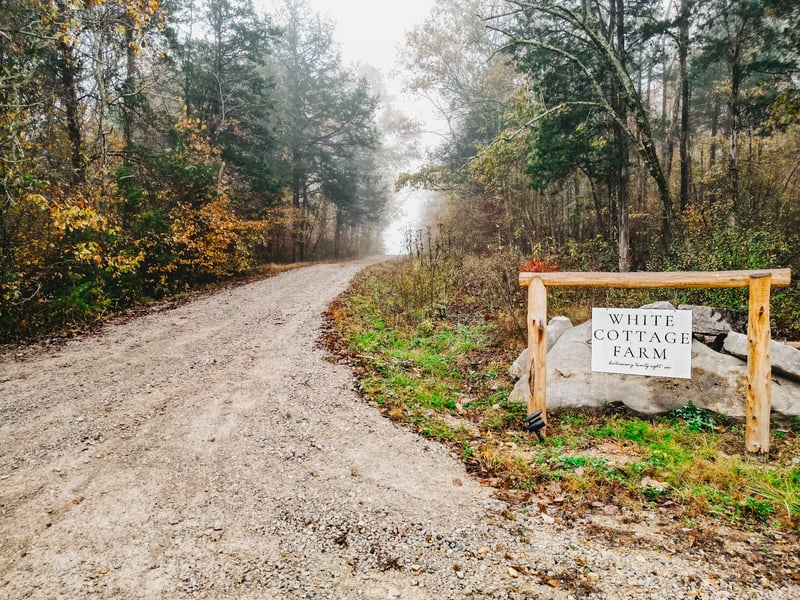 2100 Hill Station Rd, Columbia, TN 38401