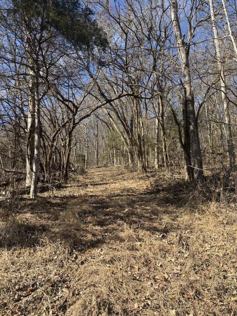 0 Dyer Branch Rd Lot 10, Gordonsville, TN 38563