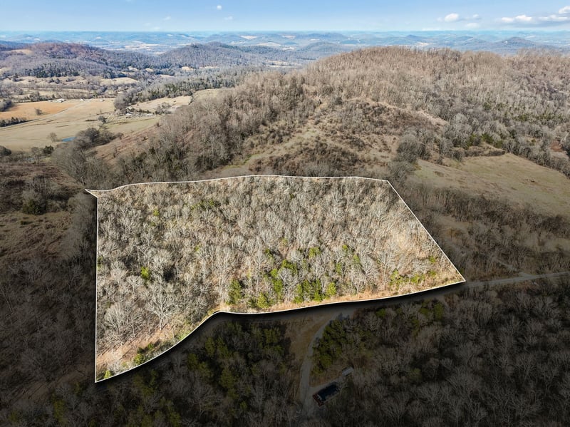 0 Dyer Branch Rd Lot 10, Gordonsville, TN 38563
