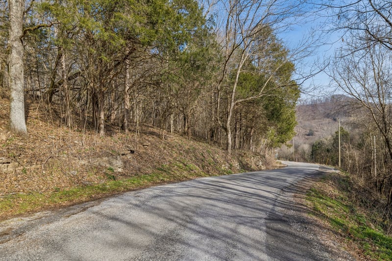 0 Dyer Branch Rd Lot 10, Gordonsville, TN 38563