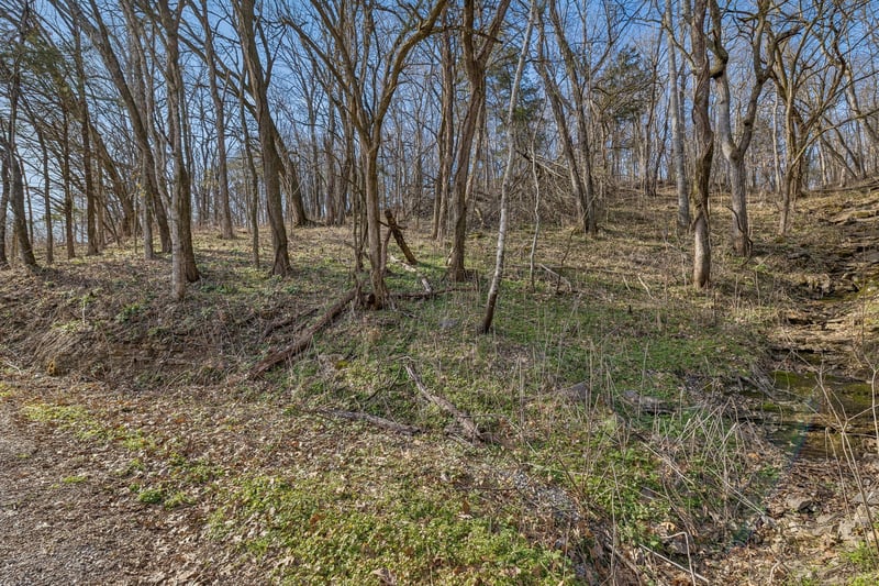 0 Dyer Branch Rd Lot 10, Gordonsville, TN 38563