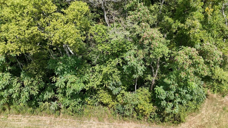 0 Roy Dodson Rd Lot 23, Columbia, TN 38401