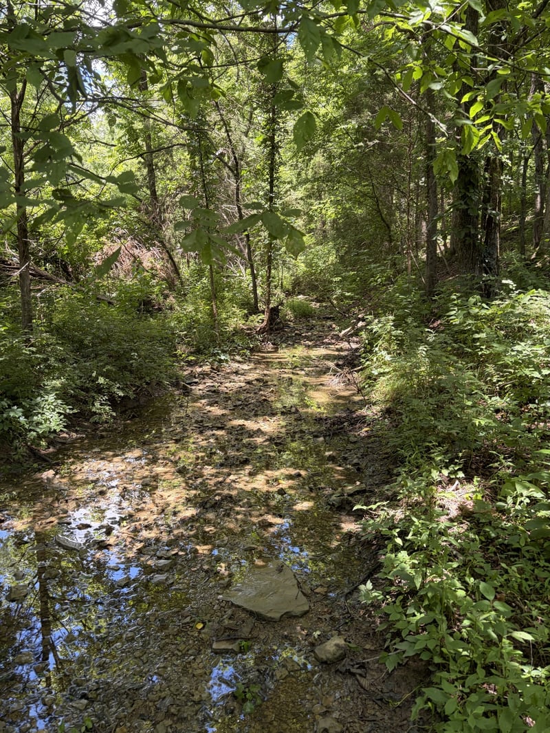 206 Dry Fork Creek Rd, Bethpage, TN 37022