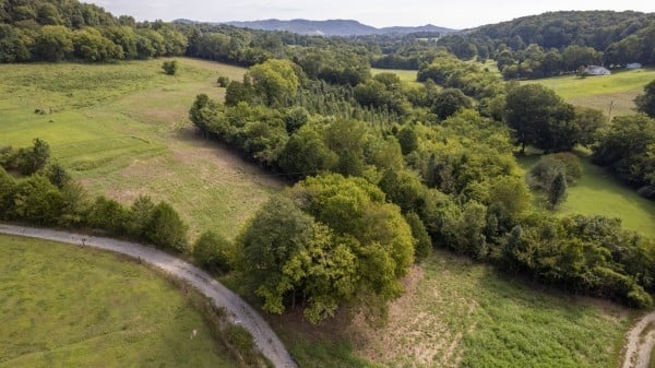 0 Badger Ln Lot 1,2,3, Carthage, TN 37030