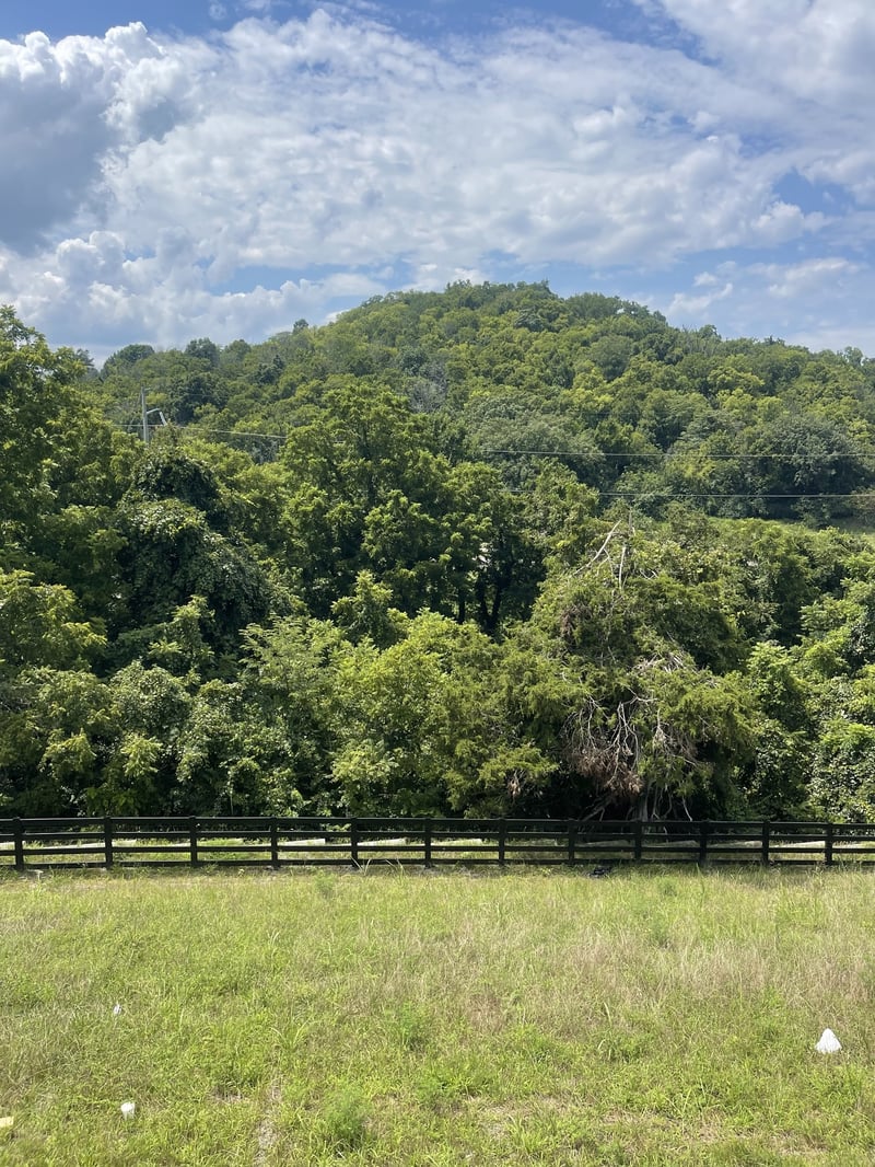 213 Berry Hunter Ln, Franklin, TN 37067