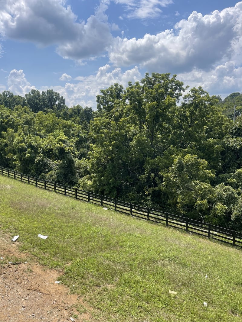 213 Berry Hunter Ln, Franklin, TN 37067