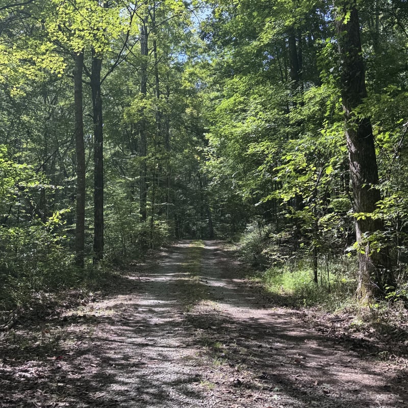 1336 Big Tom Rd, Kingston Springs, TN 37082