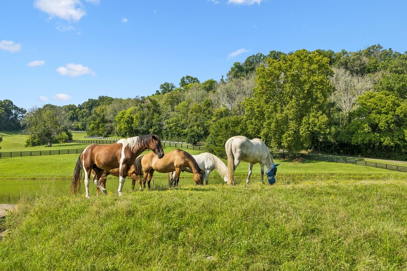 3008 Smith Ln, Franklin, TN 37069