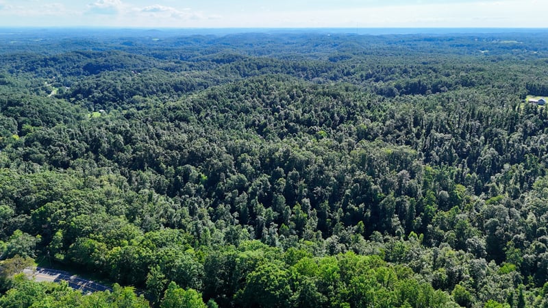 3 Dobbins Pike Lot 3, Gallatin, TN 37066