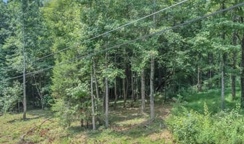 8696 Poplar Creek Rd, Nashville, TN 37221