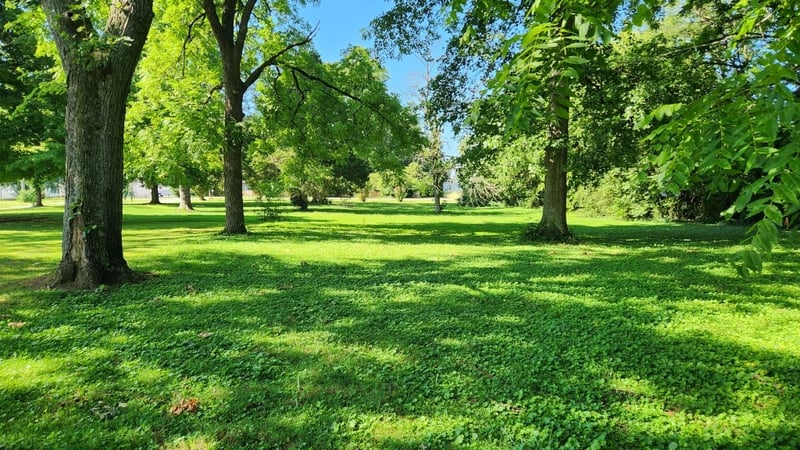 2448 Dilton Mankin Rd, Murfreesboro, TN 37127