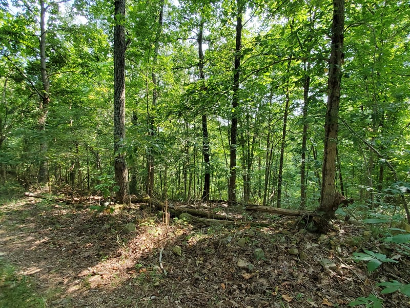 5614 Ashland City Hw, Nashville, TN 37218