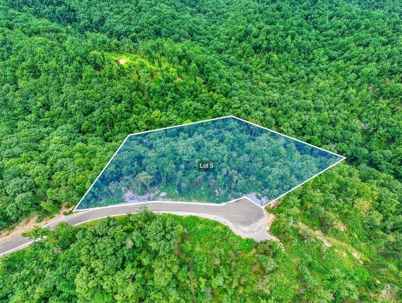 0 Falling Timber Dr Lot #5, Pegram, TN 37143