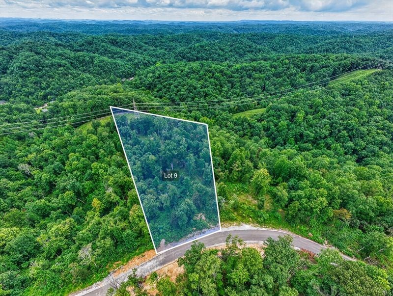 0 Falling Timber Dr Lot #9, Pegram, TN 37143