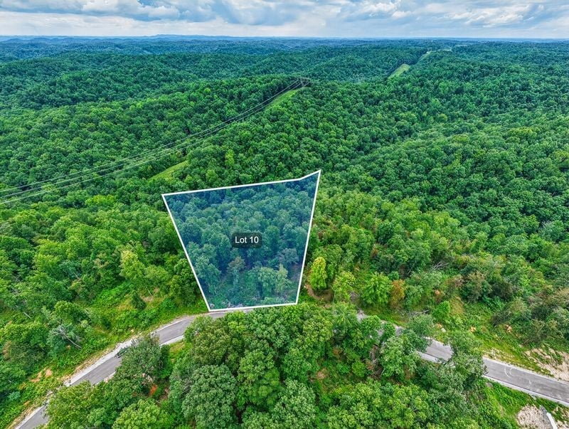 0 Falling Timber Dr Lot #10, Pegram, TN 37143