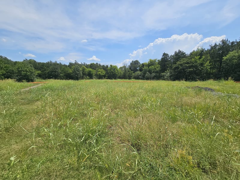 4235 Roxburghe Ct, Murfreesboro, TN 37128