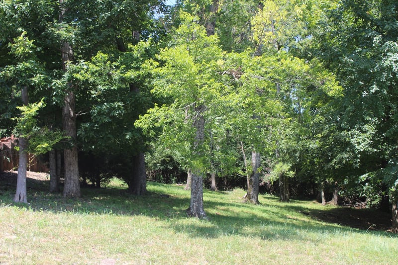 0 Spy Glass Way Lot 59, Hendersonville, TN 37075