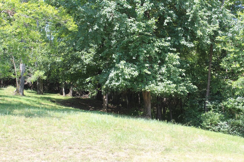 0 Spy Glass Way Lot 59, Hendersonville, TN 37075