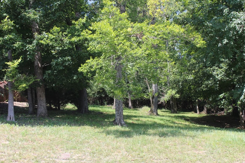 0 Spy Glass Way Lot 59, Hendersonville, TN 37075