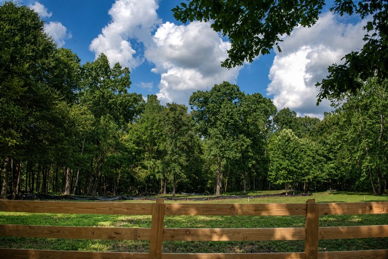 7368 Overbey Rd, Fairview, TN 37062
