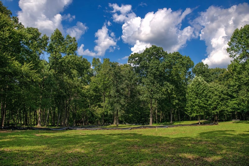 7368 Overbey Rd, Fairview, TN 37062