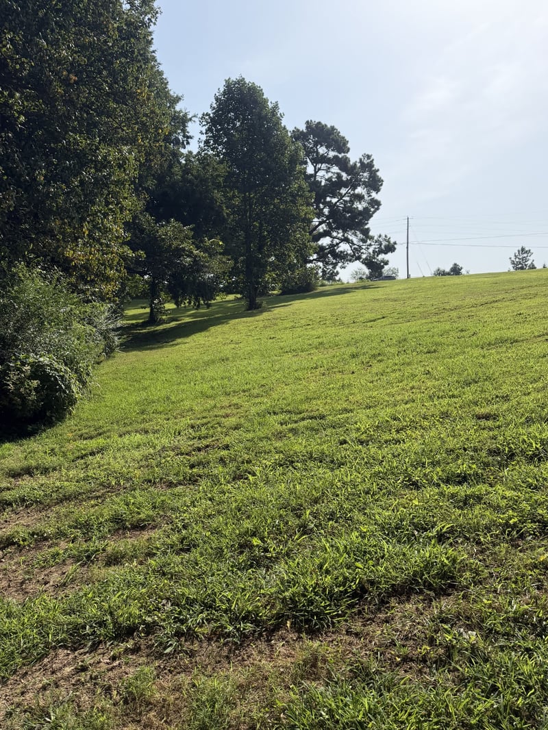 0 Buddy Rd Lot 1, Burns, TN 37029
