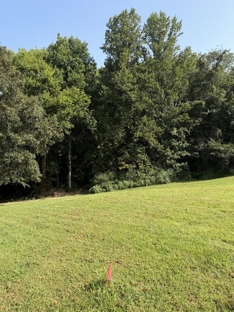 0 Buddy Rd Lot 1, Burns, TN 37029