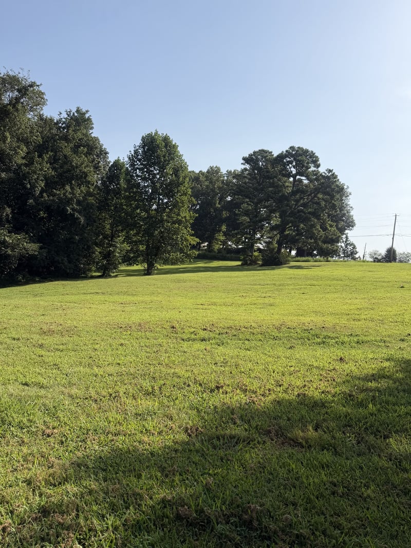 0 Buddy Rd Lot 1, Burns, TN 37029