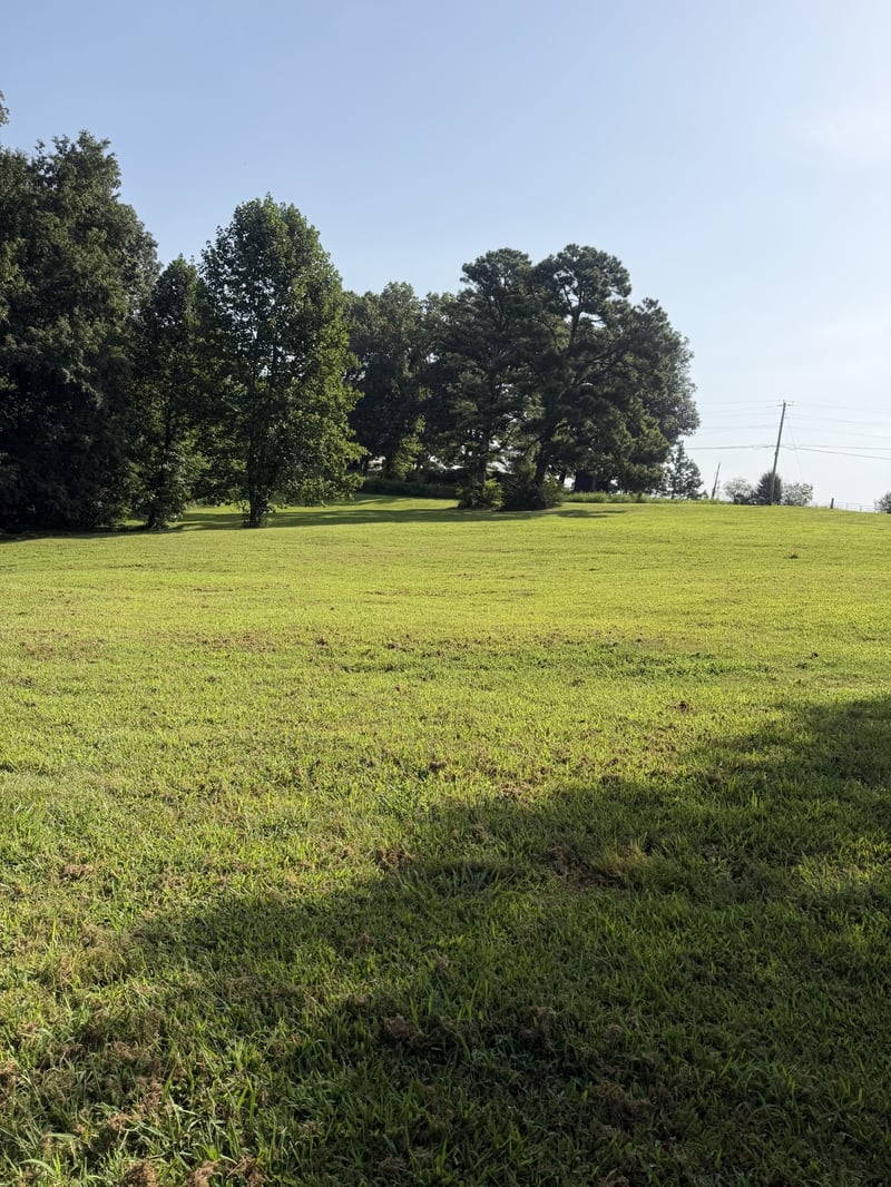 0 Buddy Rd Lot 1, Burns, TN 37029