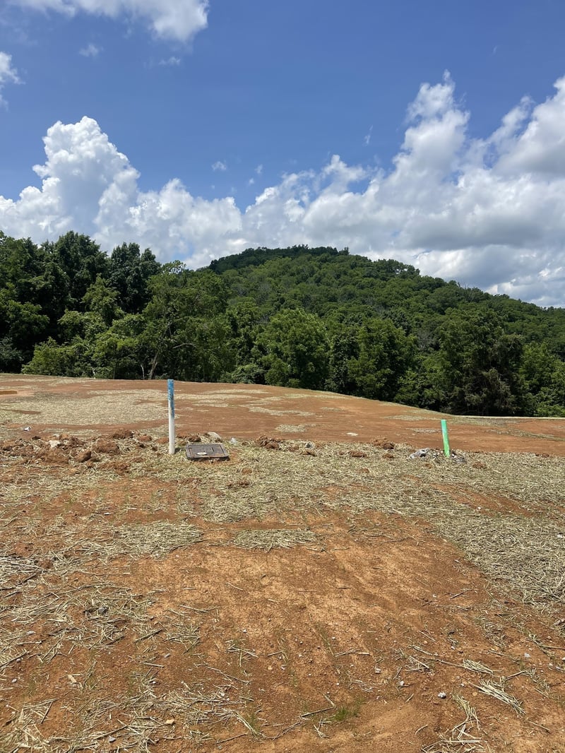 151 Berry Hunter Ln, Franklin, TN 37067