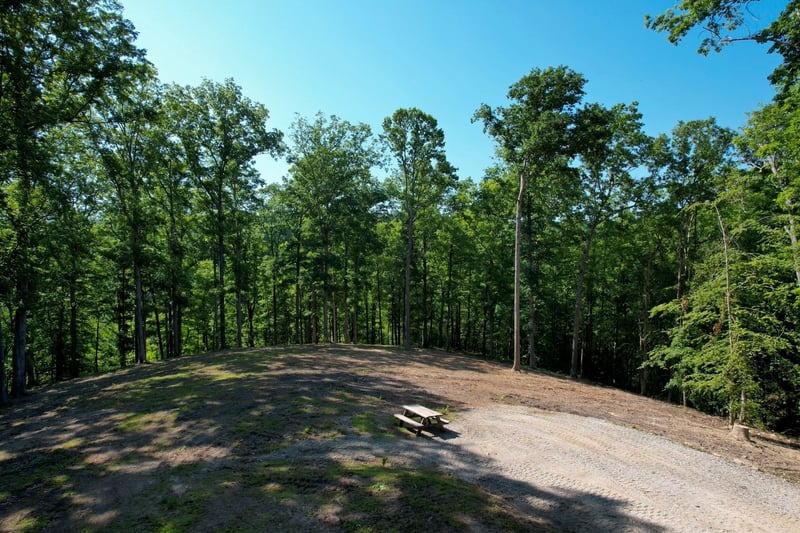 7506 Ivorybill Ln, Franklin, TN 37064
