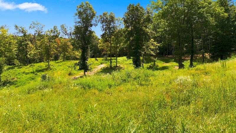 1086 Red Oak Rd Lot TR-A, Charlotte, TN 37036