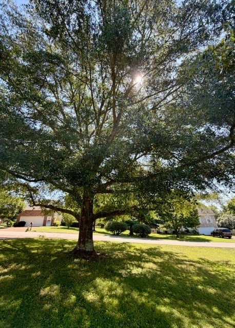 2801 Curacao Ln, Thompsons Station, TN 37179