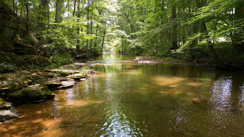 0 Columbia Rd Lot Tr 10, Dickson, TN 37055