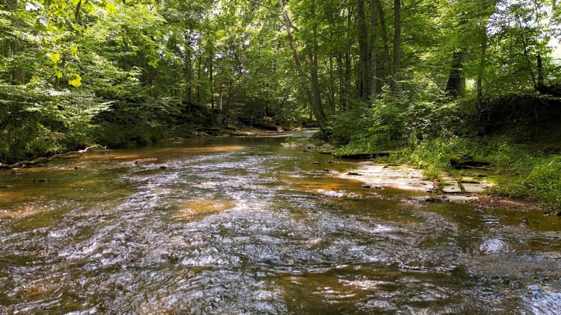 0 Columbia Rd Lot Tr 10, Dickson, TN 37055