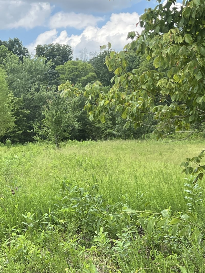 0 Martin Rd Lot 2, Portland, TN 37148