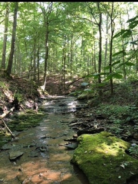7500 Harper Rd, Joelton, TN 37080