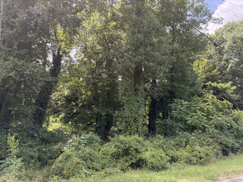 913 Riverside Dr, Columbia, TN 38401